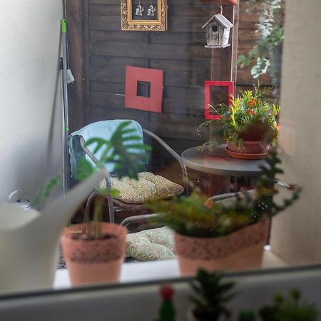 Apartament U Olechny 4 Bydgoszcz Extérieur photo